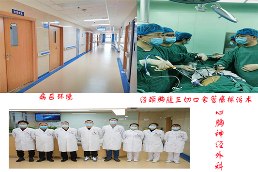 心胸.png