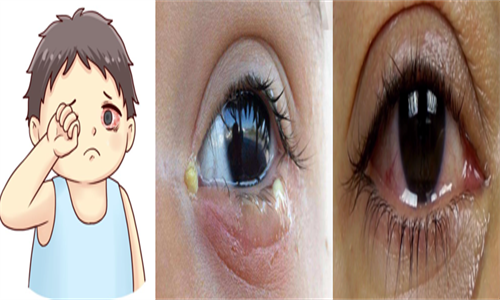 13.png 13.png