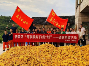 图片2.png 图片2.png